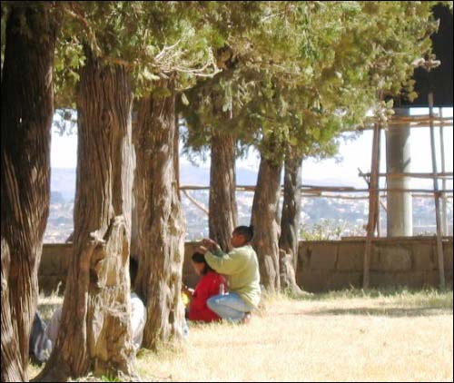 타나 시내 공원 나무 아래에서 레거머리를 해주는 아가씨들
