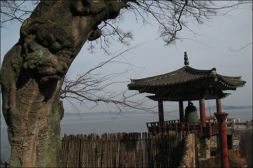 낙서전 쪽에서 바라본 범종각. 왼쪽의 나무는 낙서전 앞을 지키는 전북도 기념물  제114호 팽나무이다. 
