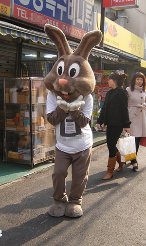 초콜릿 광고 티셔츠를 입은 토끼가 재미있는 포즈를 취하고 있다. 
