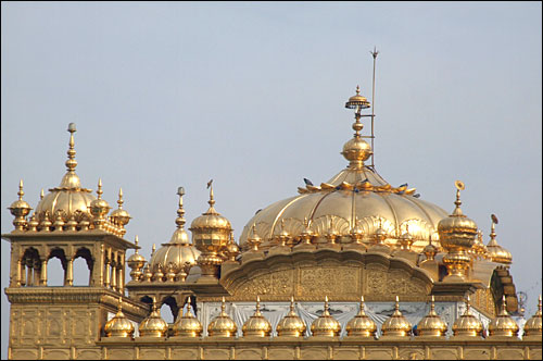 인도 시크교도의 성지 암리차르의 황금사원의 황금돔