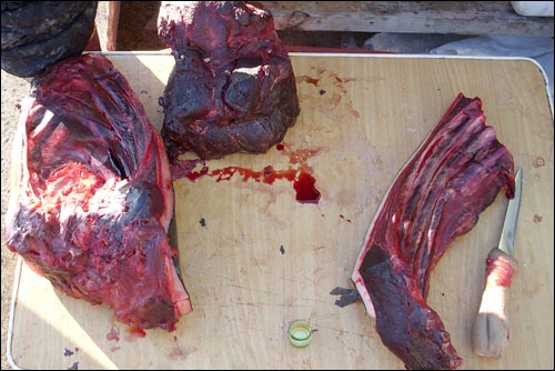 묵호항에서 팔고 있는 돌고래의 갈비살.