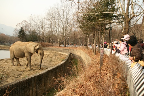동물원은 시선을 탐구할 수 있는 공간이다.