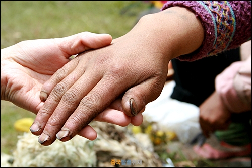 설산 정상 부근 고원 초원의 약초 파는 나씨족 아주머니의 손