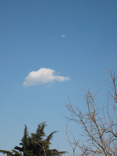파란 하늘에 떠 있는 구름과 달. 지난 토요일(2008. 2. 16) 집 앞을 산책하다가 찍은 사진  입니다. 태양계행성 어느 곳에서도 이렇게 파란 하늘을 구경할 수는 없을 겁니다