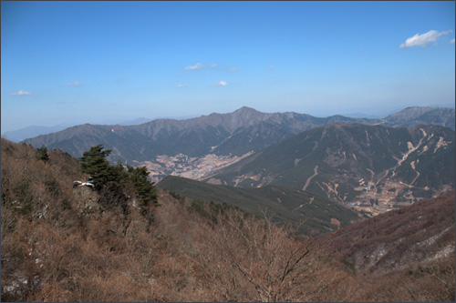  마당에서 내려다 본 산 아래 풍경. 