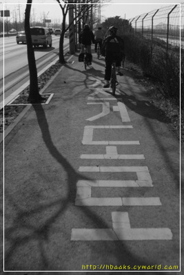 인천에서 소래 거쳐 오이도 가는 길에서. 여기에는 "사람이 걷는 길"이 아예 없습니다. 그냥 "자전거전용도로"라고 길바닥에 새겨 놓았습니다. 그러면, 여기에서는 걷는이는 어찌해야 할까요?