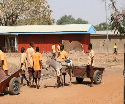 곡식 배급을 기다리는 아이들 아이들이 학교 급식용 곡식 배급을 받기 위해 노새와 함께 기다리고 있다.