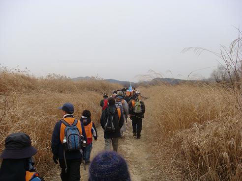 사람들이 버린 길을 걷는다. 이제 사람들은 자갈 깔린 길을 걷지 않는다. 운하가 만들어지면 이 길은 어떻게 변할까. 짐작도 할 수 없다.