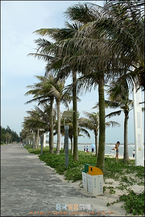 야자수나무가 있는 베이하이 인탄 해수욕장의 모습