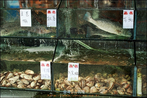 베이하이 인탄 해수욕장의 해산물 식당 수족관에 있는 물고기와 조개 등