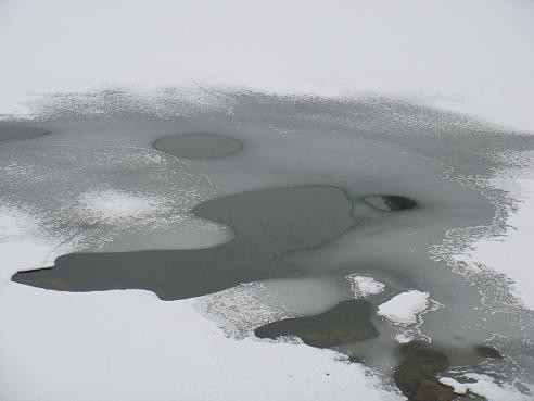 몸을 풀던 강이 다시 얼어가고 있네요. 