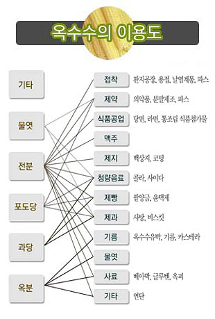 GMO 옥수수 이용도 한국농어촌사회연구소 제공