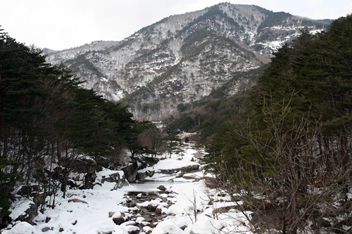 겨울산의 전형 내 마음 속 겨울산의 전형 '두타산'