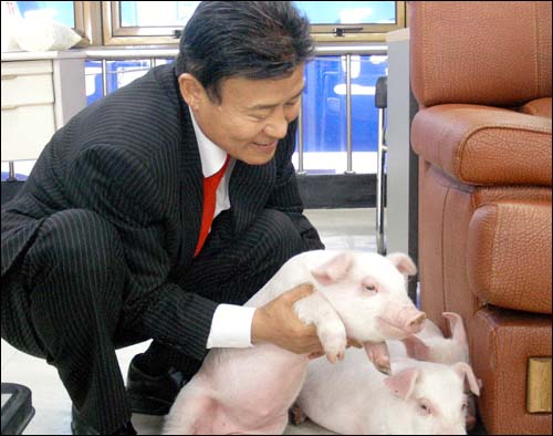 통합민주당 김원웅 의원이 자신의 사무실에 들어온 새끼돼지를 어루만지고 있다.