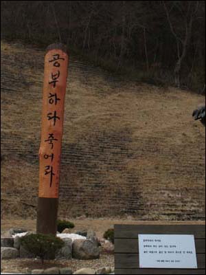  '공부하다 죽어라"는 말씀이 새겨진 통나무.