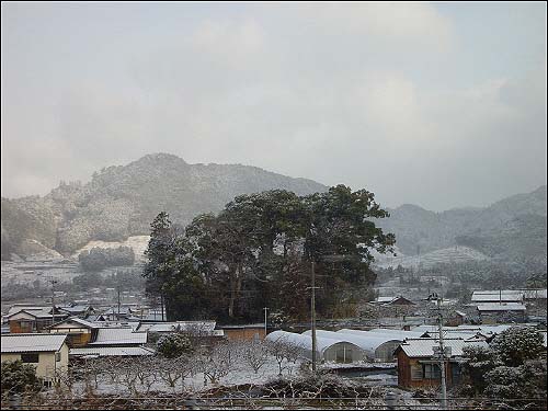 하라즈루 풍경: 하룻밤 자고 나니 밤 사이에 눈이 왔다.