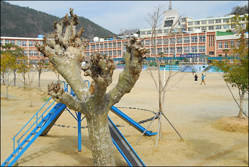 부역자 색출과 집단 학살이 이뤄진 종산국민학교터 현재 여수 중앙초등학교 자리이며, 당시 진압군 대장 김종원 대위가 일본도로 부역자들을 즉결 참수한 곳으로 유명합니다. 앞에 보이는 플라타너스는 그때도 있었다고 하며, 그 앞 미끄럼틀 자리에 진압군의 기관총이 모여있는 주민들을 향해 설치되었다고 전합니다.