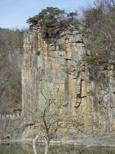  산수유와 사인암