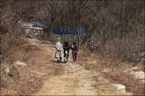  향상교 건너 오른쪽 삼선암 가는 길.