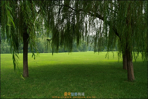 항저우 시후 난산루 부근 나무와 잔디