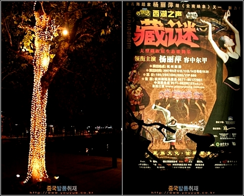 항저우 시후의 밤. 조명을 단 나무와 장족문화 무대극 '장미' 포스터
