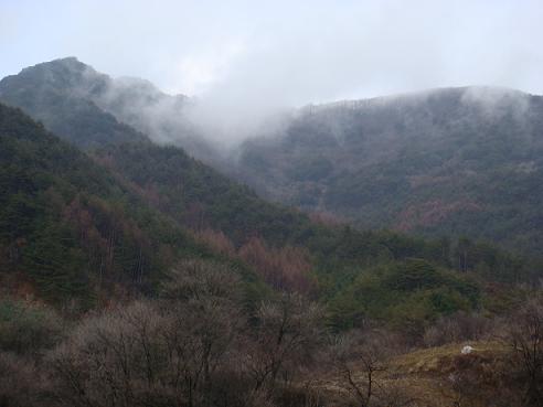 안개가 반론산을 에워싸고 있다. 산은 알까. 그날의 일을.