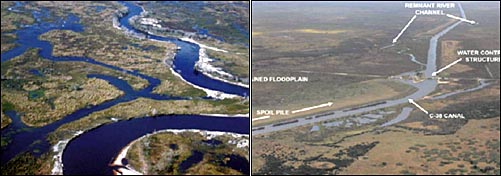 운하건설 전인 1961년의 키시미강(왼쪽)과 운하건설로 직강화된 키시미강  
