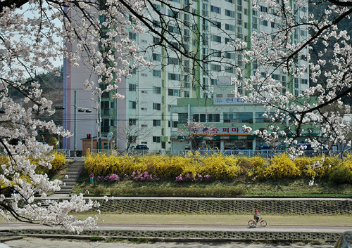 봄 바람을 가르고 자전거를 타며 여유를 보이는 사람들의 모습도 보인다.