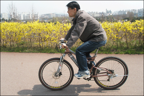 알레낙스 자전거는 각자 페달로도 탈 수 있지만 일반자전거처럼 탈 수도 있다. 일반 자전거처럼 타고 있는 시승자.