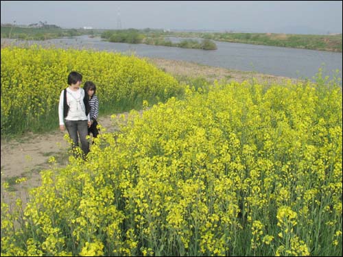 슬비와 예슬이가 영산강변에 활짝 핀 유채꽃을 감상하며 봄날을 만끽하고 있다.
