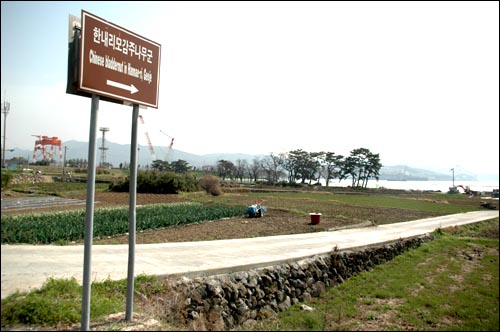 삼성중공업이 조성하려는 농공단지는 문화재로 지정된 한내리모감주나구 군락지 바로 옆에 있다.