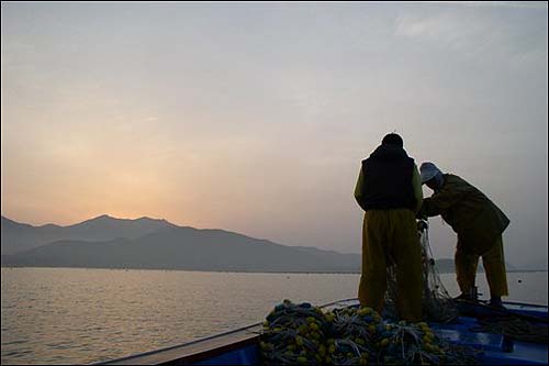 동이 틀 무렵 해남 북평 앞바다에서 어부들이 숭어를 잡고 있다.