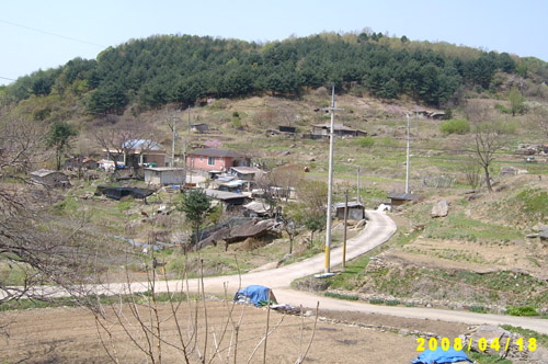  양지 바른 언덕에  옹기종기 집을 짓고 평화롭게 산다. 그러나 아기도 어린이도 없다.