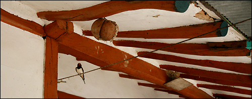 표주박 제비집 아래 빨랫줄에 제비 한마리가  앉아있다.