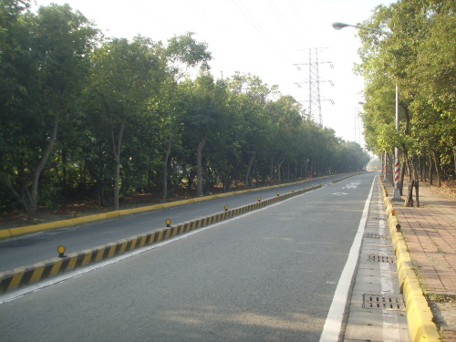 완벽하게 분리된 도로. 왼쪽 나무숲 너머에 고속으로 달리는 차를 위한 도로가 있다.
