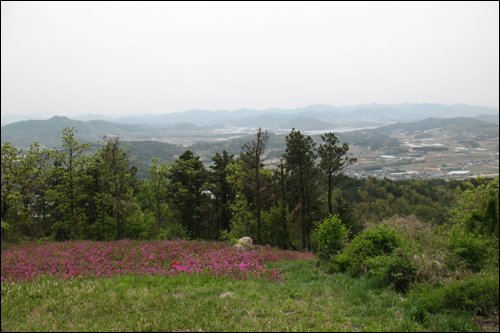  함지봉 정상에서 바라본 연산면 일대.