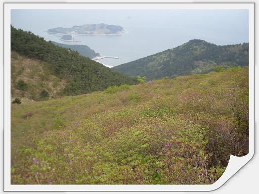 대금산... 진달래군락지에서 내려다 본 풍경...