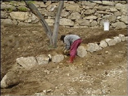 돌쌓기에 나선 집사람, 여자들에게 크고 무거운 돌을 다루는 일은 매우 위험하다.