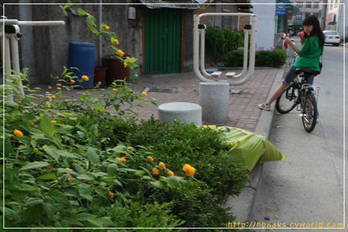 동네 골목길 한켠. 골목집에서 키우는 조촐한 꽃밭. 이 꽃밭을 가꾸는 동무네 집에 자전거를 타고 놀러온 동네 아이. 우리 아이들은 어떤 곳에서 어떻게 뛰어놀기를 바라십니까.