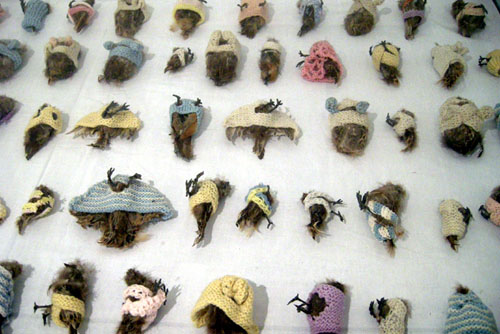 '기숙생들(Les Pensionnaires)'(부분화) 가변설치 박제된 새, 깃털, 종이, 양털, 젤라틴 실버프린트, 14개의 유리관 1971-1972