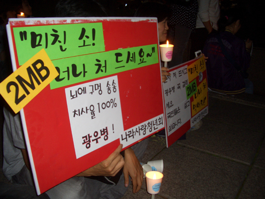이날 2만 여명의 네티즌들이 참여해 광우병 수입 쇠고기 반대를 외쳤다.