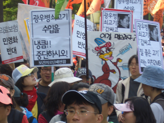 지난 1일 노동절 기념 시가행진에 등장한 광우병 쇠고기 수입 중단 요구 피켓