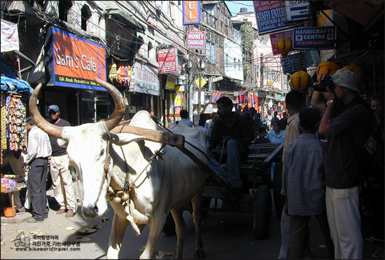 복잡함 - 델리의 여행자 거리(빠하르간지) 
