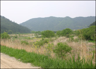  전해산 의병부대 고막 전적지