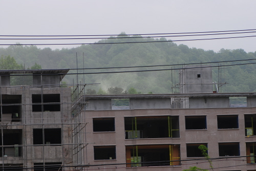 신축건물 뒷산에도 송화가루가 연기처럼 피어오르고 있다.