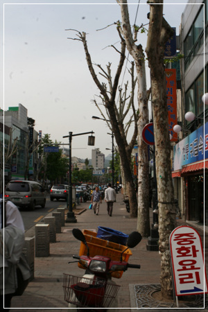 서울은... 우람하게 잘 자라던 방울나무 굵은 줄기도 끔찍하게 베어내는 공무원들 세상입니다. 풀 한 포기 자랄 수 없는 거님길, 풀 한 포기 깃들이지 못하도록, 가게집 사람들은 오토바이며 짐이며 내어놓고, 걸어다니며 앉을 자리조차 없습니다.
