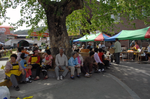 주민들이 회관 앞 나무그늘에서 축제를 즐기고 있다.