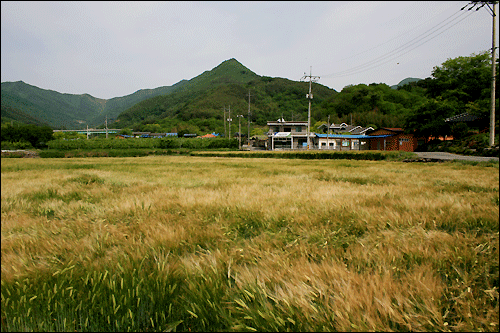 전남 광양 봉강면 신룡리 신촌마을 풍경
