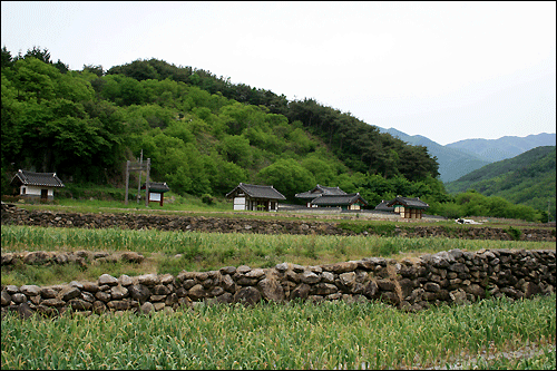 돌담을 쌓아 만든 마늘밭 너머로 쌍의사가 보인다. 