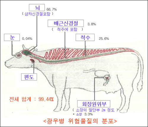  광우병 특정위험물질(SRM) 분포도.